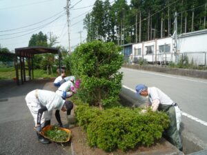 奉仕作業実施